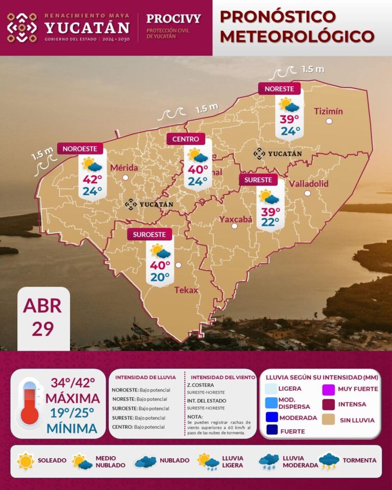 WhatsApp Image 2026-04-29 at 6.25.55 AM